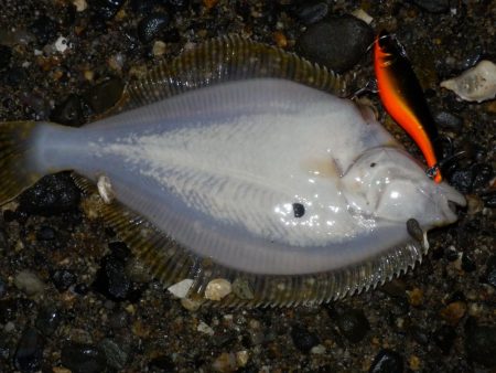 浮気‼南大阪へ‼スレてます‼